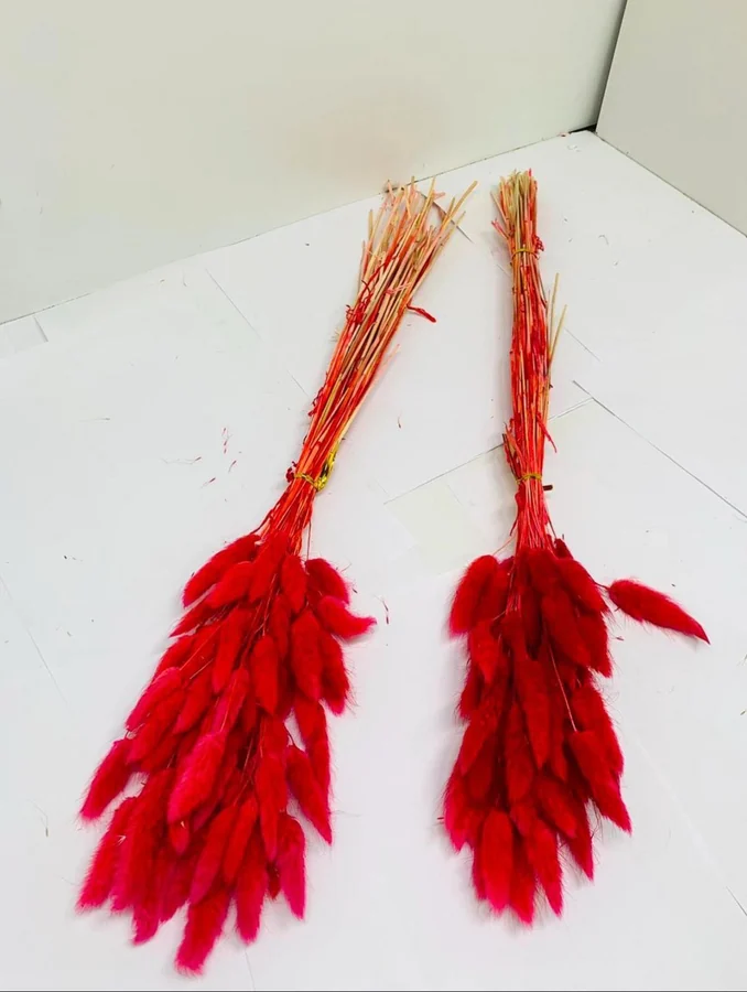 ورد طبيعي مجفف سنابل